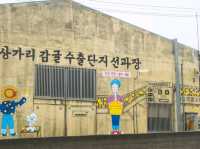 [제주도] 상가리 야자수 군락지 🌴 