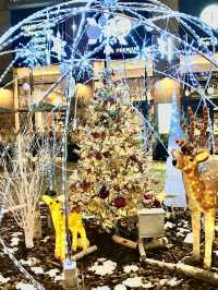 ✨横浜駅周辺で楽しむ!2025-2026 クリスマスめぐり🎄✨