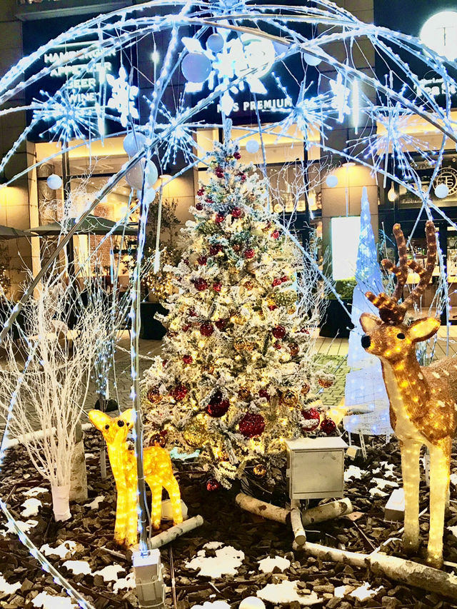 ✨横浜駅周辺で楽しむ!2025-2026 クリスマスめぐり🎄✨ ✨横浜駅周辺で楽しむ!2025-2026 クリスマスめぐり🎄✨