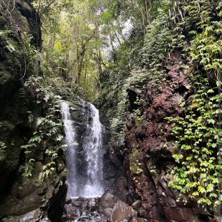 Lamington National Park (QLD)