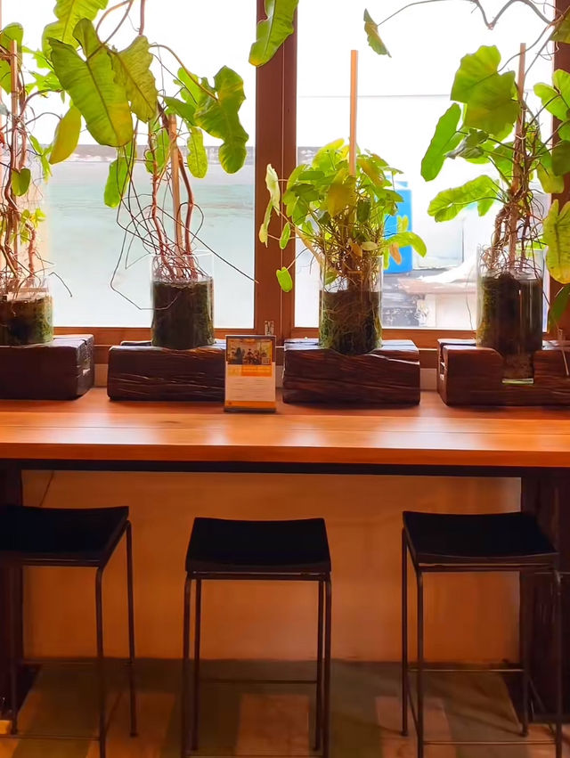 Barista collective