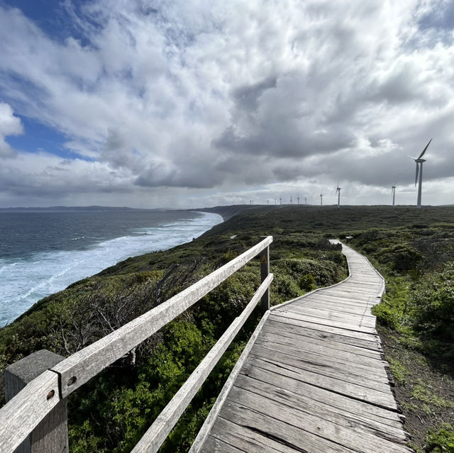 Western Australia-Wind Farm
