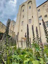 Université d’Avignon – A Journey into Learning & Heritage