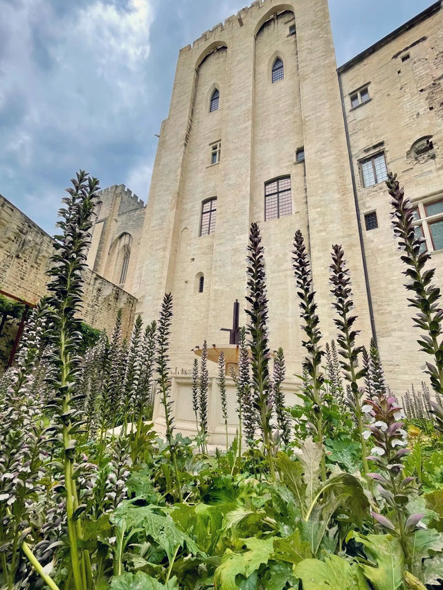 Université d’Avignon – A Journey into Learning & Heritage