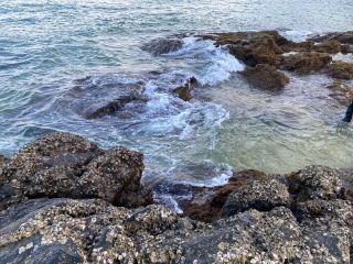 Pantai Teluk Bidara – 自然與寧靜的交匯點 