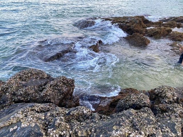 Pantai Teluk Bidara – Where Nature Meets Tranquility ✨🌊