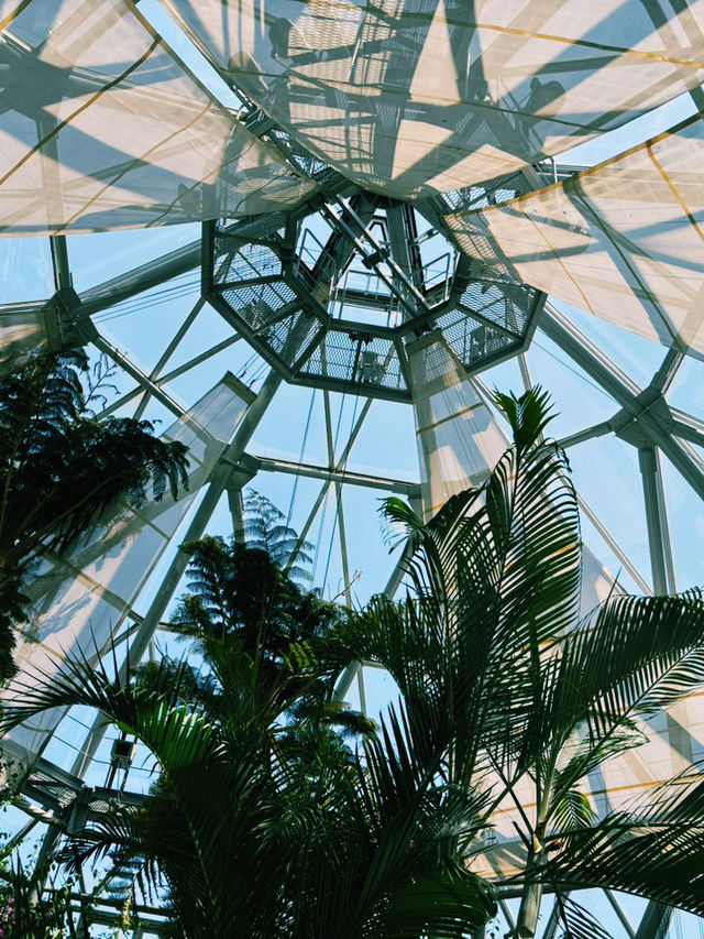 神戶布引香草園：花草世界的香氣與色彩