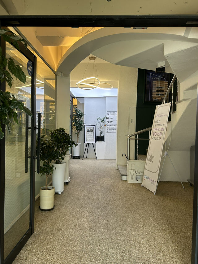 초록과 함께 편안한 시간 💚 초록과 함께 편안한 시간 💚