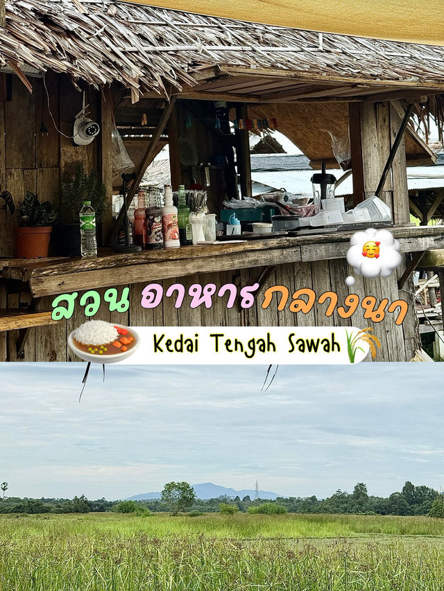 ร้านอาหารใจกลางทุ่งนา🌾 ร้านอาหารใจกลางทุ่งนา🌾