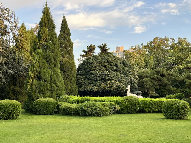 🕰🌳 Zhengzhou People’s Park — The City’s Living Square