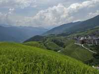 Rice Terrace Dream🌾