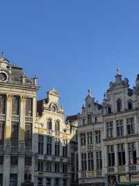 🇧🇪 比利時:布魯塞爾大廣場(Grand-Place) ✨