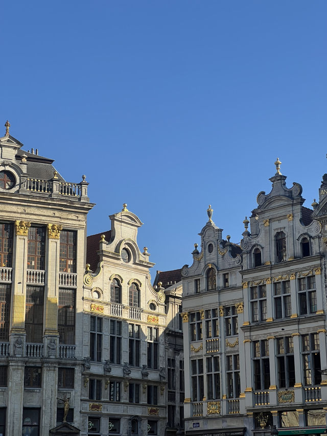 🇧🇪 比利時:布魯塞爾大廣場(Grand-Place) ✨ 🇧🇪 比利時:布魯塞爾大廣場(Grand-Place) ✨