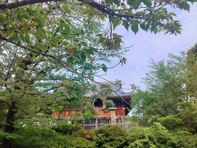 เชคอิน Kiyomizu Kannon-dō Temple ที่ Ueno Park