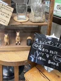 【群馬】 クセになる食感!大行列のスイーツ