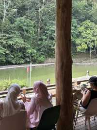 ✨ Pineyard Café – A Cozy Escape on the Way to Genting