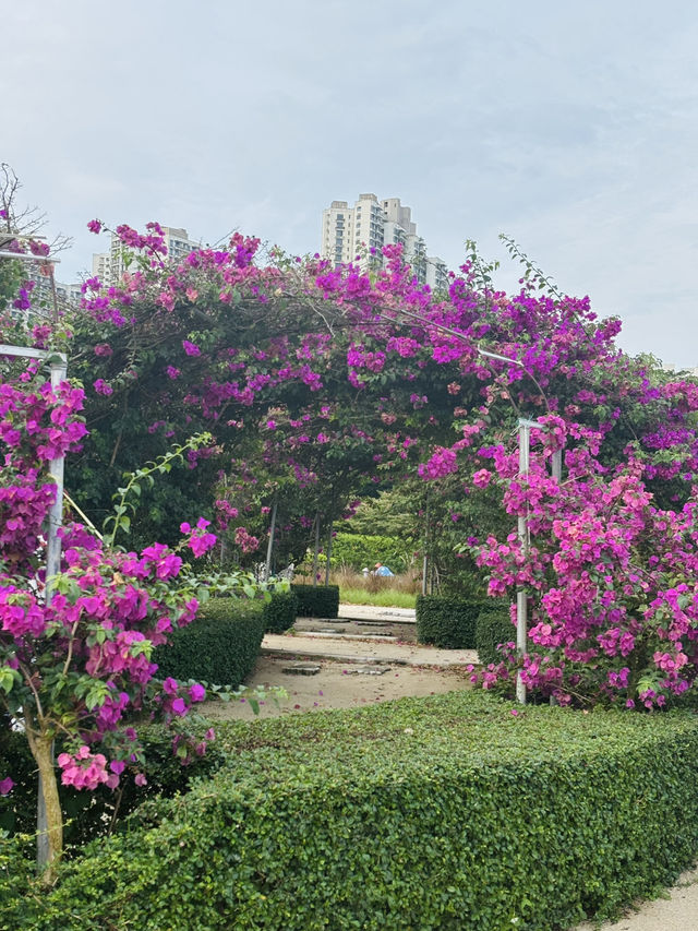 Cyberpunk Oasis by the Sea: Exploring Johor’s Forest City 🌆