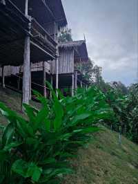 YAZAMA Homestay | แม่แตง