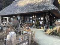 🌿 Saiko Iyashi no Sato Nenba: The Healing Village by Mount Fuji