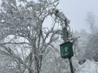 One Day Trip Chengdu to Wawu Shan 