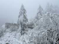 One Day Trip Chengdu to Wawu Shan 