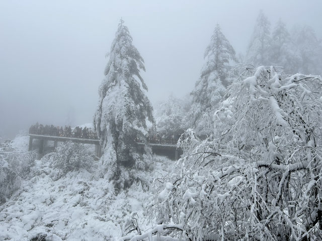 One Day Trip Chengdu to Wawu Shan 