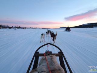 🇸🇪 Husky Sled Tour Guide in Kiruna, Sweden 🐺❄️