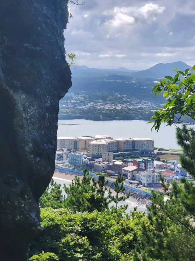 Sun-Kissed Adventures on Jeju Island! ☀️✨