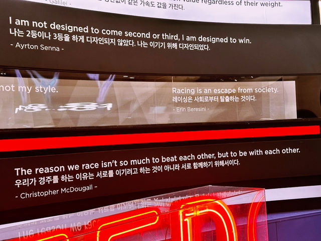 📸 사진찍기 좋고 놀거리 많은 981 얼리버드