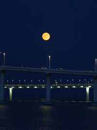 A Pearl in a Neon Sea: Macau's Modern Moonrise