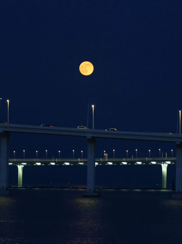 A Pearl in a Neon Sea: Macau's Modern Moonrise