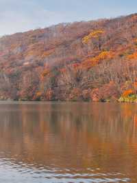 【穴場の紅葉】観光攻略付‼️山深い静寂の湖へ！🍁🏞️✨赤城山が生んだ神秘のカルデラ湖畔を歩く🚶‍♀️
