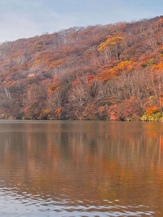 【穴場の紅葉】観光攻略付‼️山深い静寂の湖へ！🍁🏞️✨赤城山が生んだ神秘のカルデラ湖畔を歩く🚶‍♀️