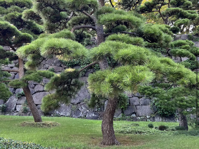 Imperial Palace East National Gardens