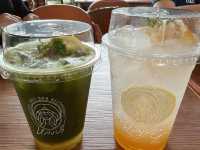 🌿✨ รีวิว หลงป่า คาเฟ่ อุดรธานี 