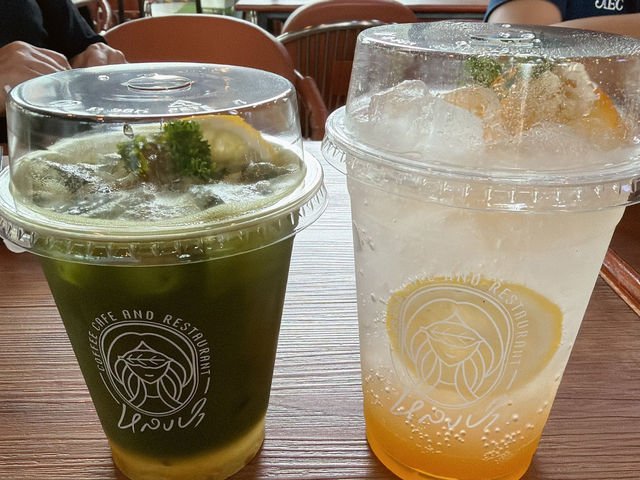 🌿✨ รีวิว หลงป่า คาเฟ่ อุดรธานี 