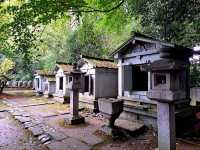 Zen & Symmetry: My Solo Visit to Zuiryūji, Takaoka