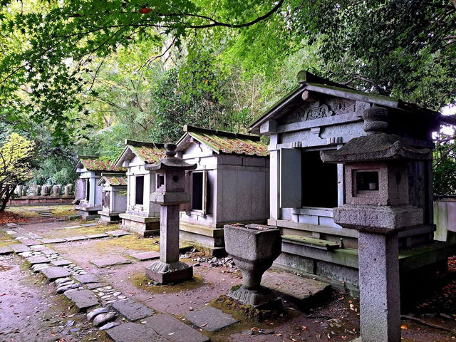 Zen & Symmetry: My Solo Visit to Zuiryūji, Takaoka