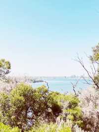 🇦🇺🌊 Perth's Blue Boat House + Kings Park: The Ultimate Instagram Trail! 📸 