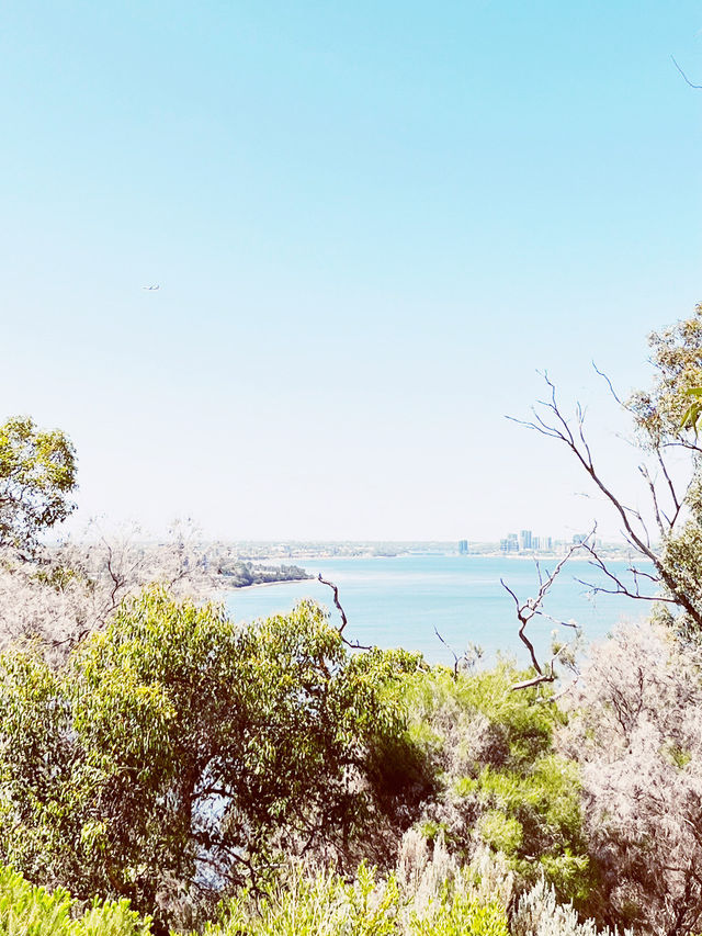 🇦🇺🌊 Perth's Blue Boat House + Kings Park: The Ultimate Instagram Trail! 📸 
