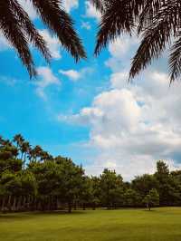 A Tribute to Jeju's Folk Heritage