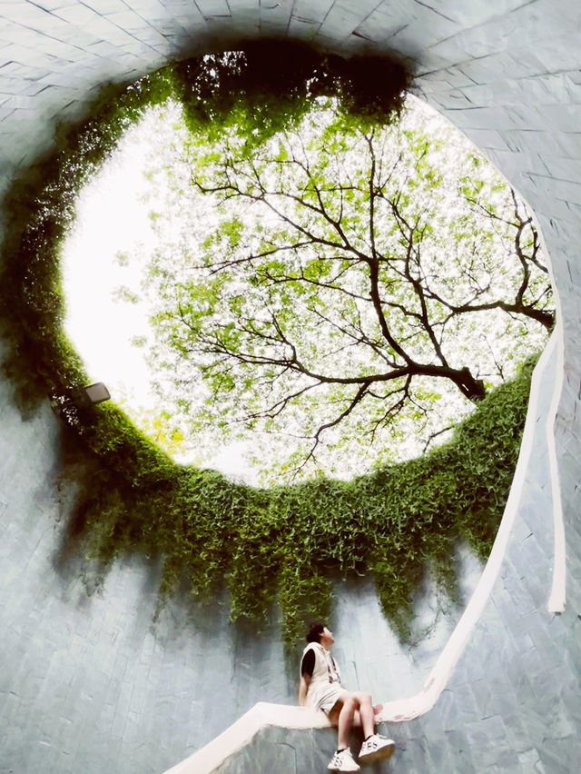 🌳 Tips | Fort Canning Tree Tunnel: Singapore's Magical Photographic Portal! 📸