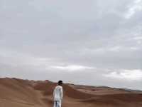 Desert Daydreams✨