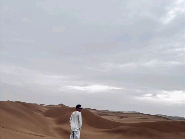 Desert Daydreams✨