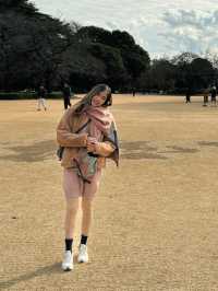 A Serene Walk at Shinjuku Gyoen 🌸