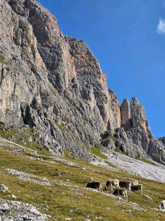 Spectacular panoramic view