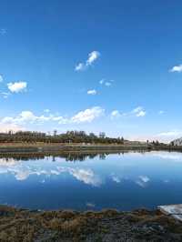 Reflections of Snow Mountains on the Golden Grassland: A Mirror Painting of the Pamir