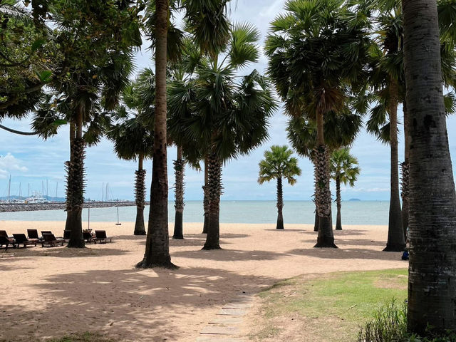 Ravindra Beach Resort สวรรค์แห่งการพักผ่อน