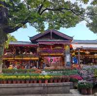 Lost in the Magic of Lijiang Old Town 