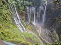 Great Nature Escape